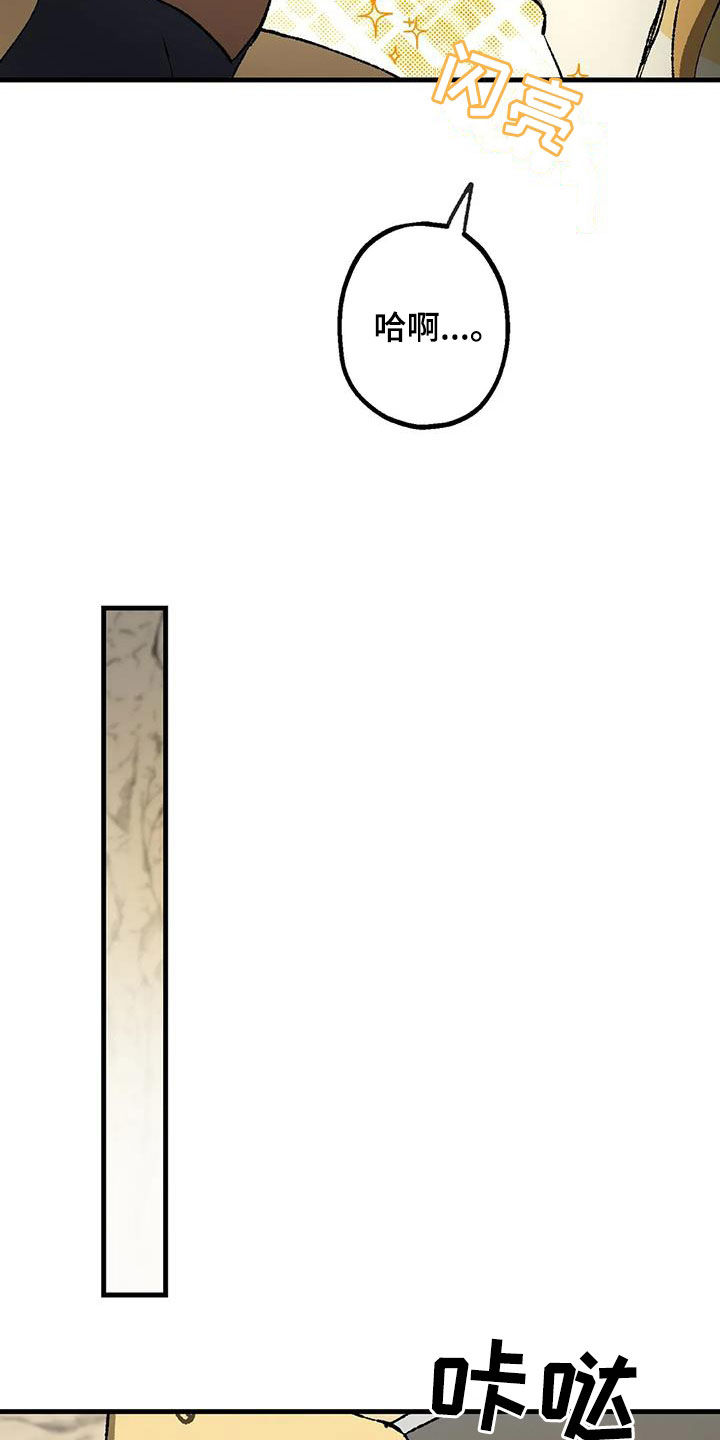 第33章：危机11
