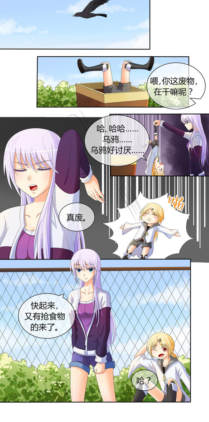 第12章：11