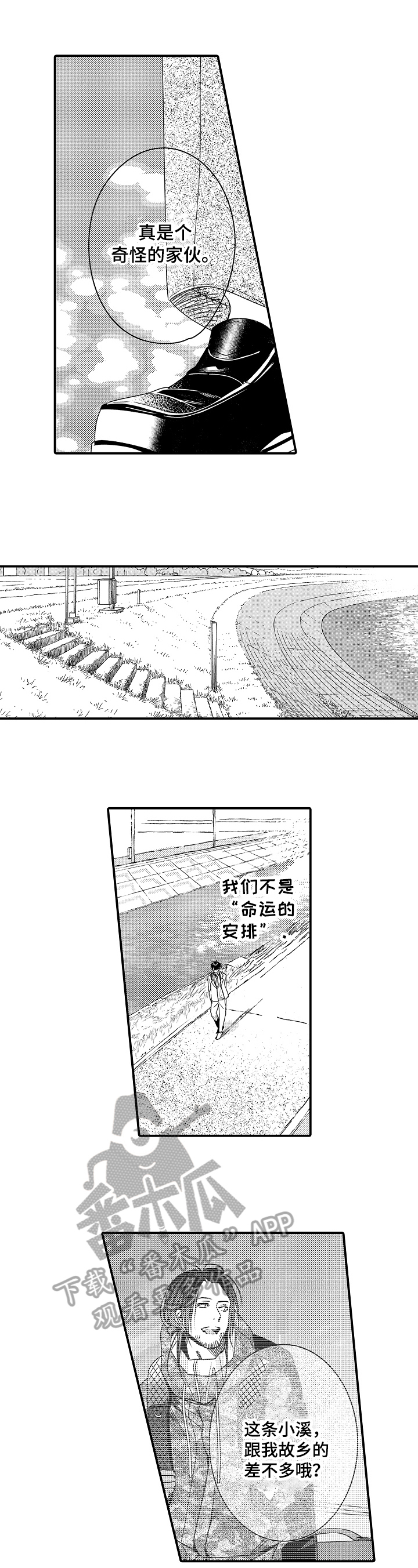 第21章：命运的安排5