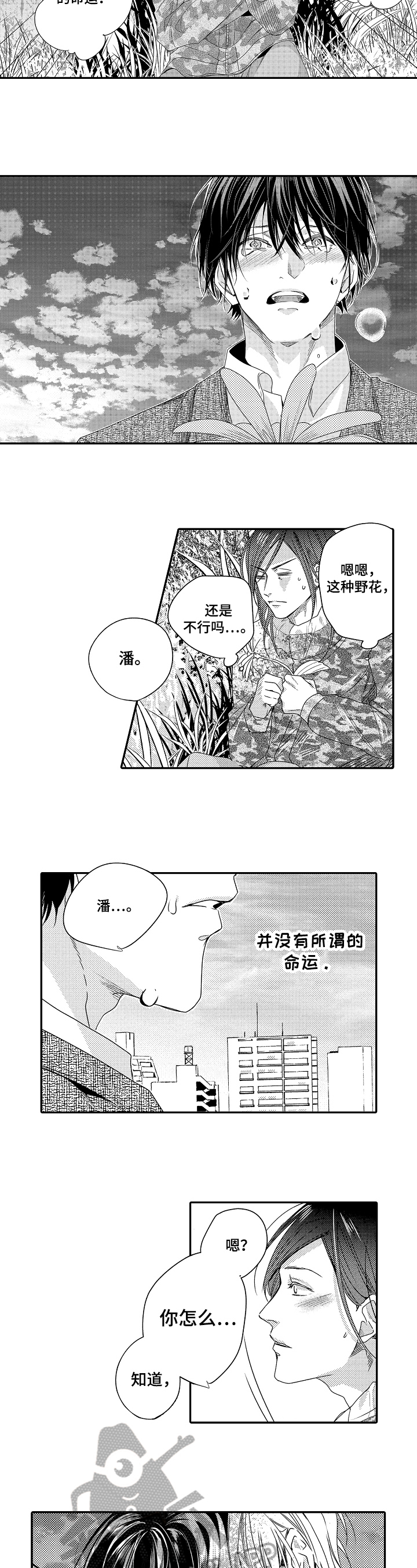 第24章：【完结】我的命运5