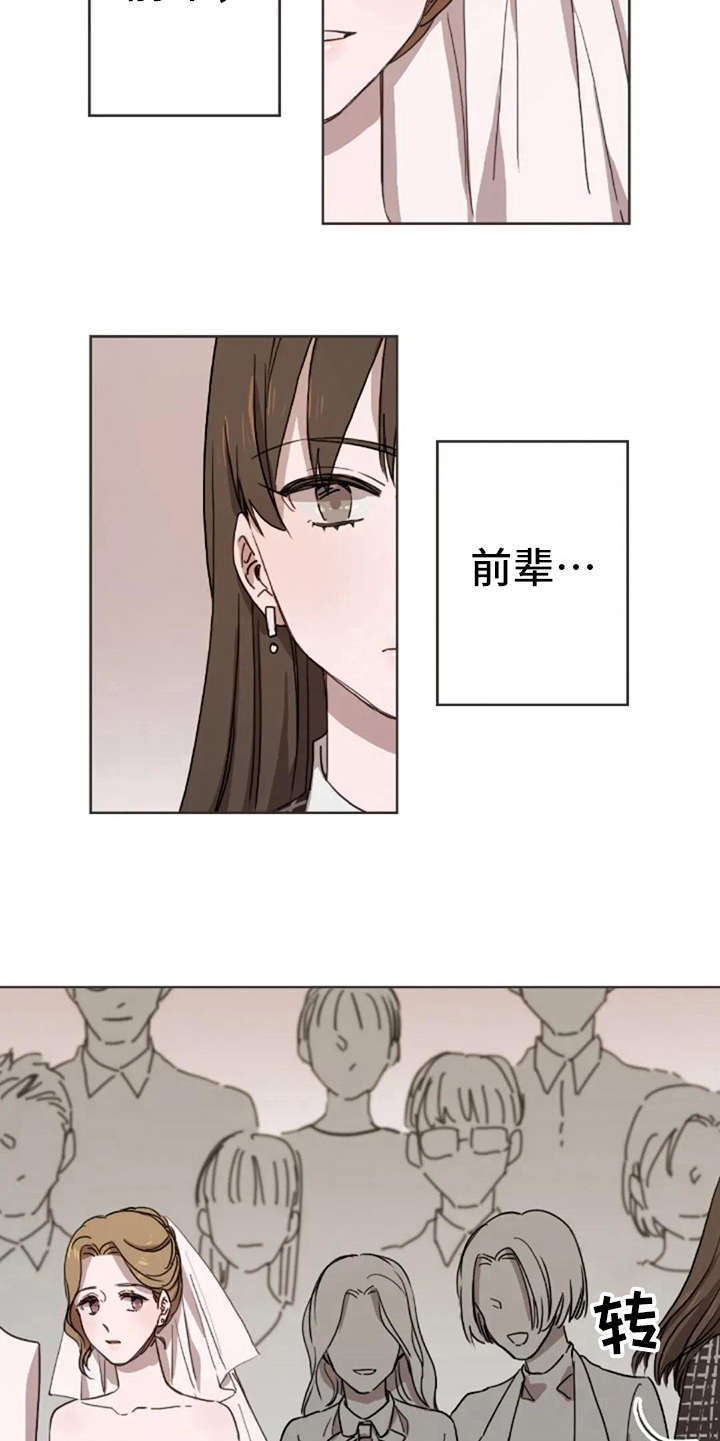 第21章：结婚13