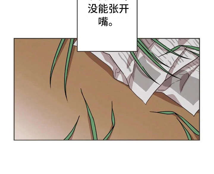 第38章：没有解释17