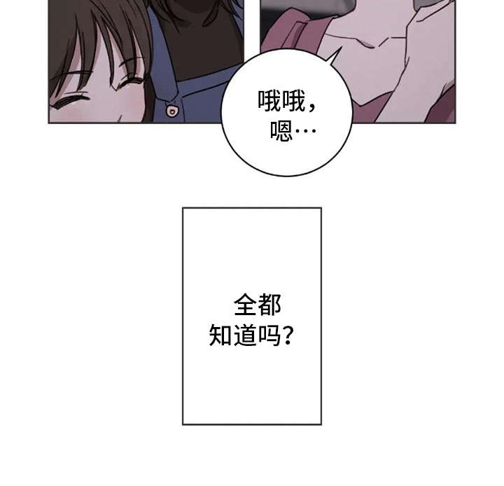 第35章：喜欢的人15
