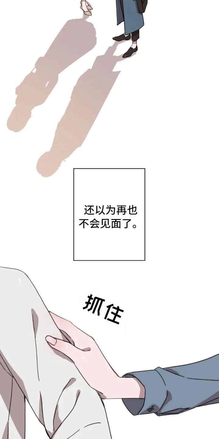 第1章：再次出现9
