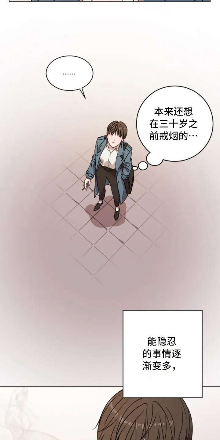 第1章：再次出现5