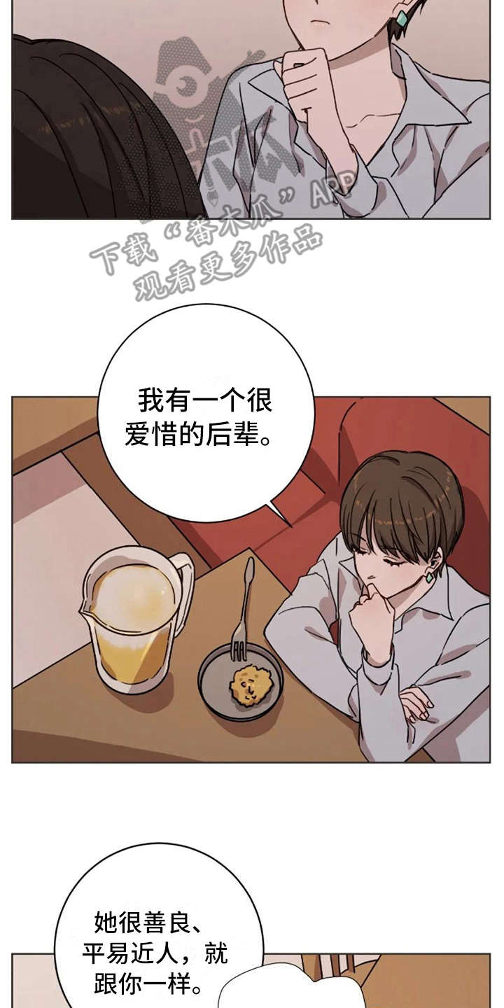 第13章：支撑14