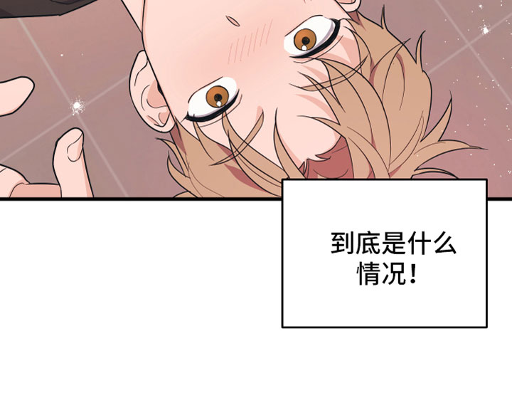 第1章：理想型26