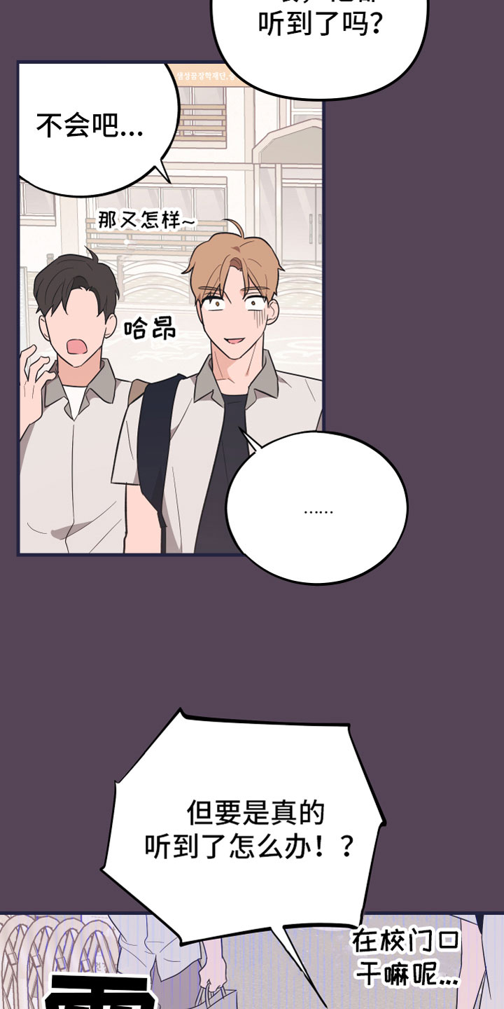 第19章：理想型24