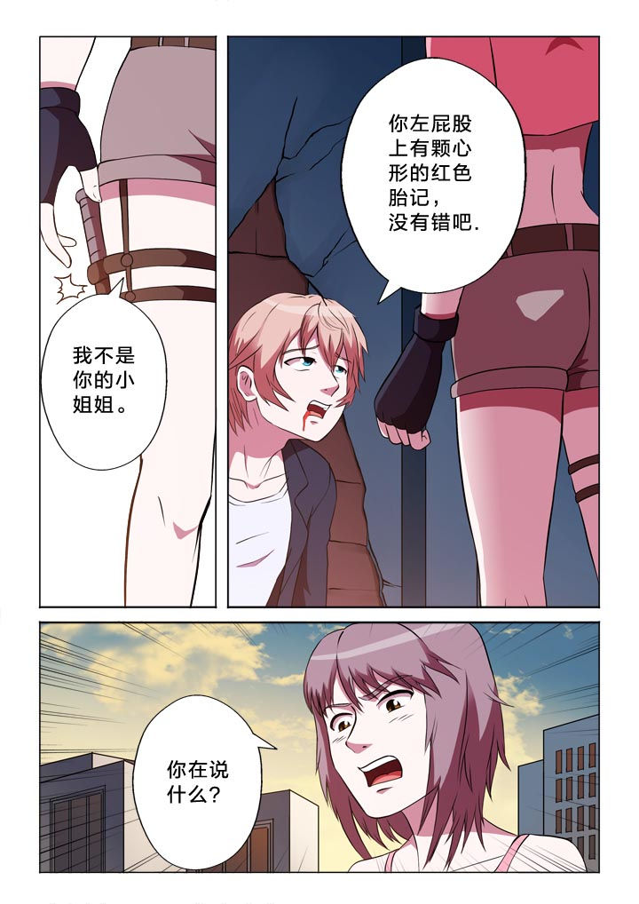 第137章：分析4
