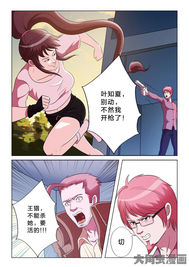 第122章：调虎离山1