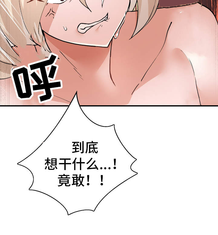 第45章：想干什么14