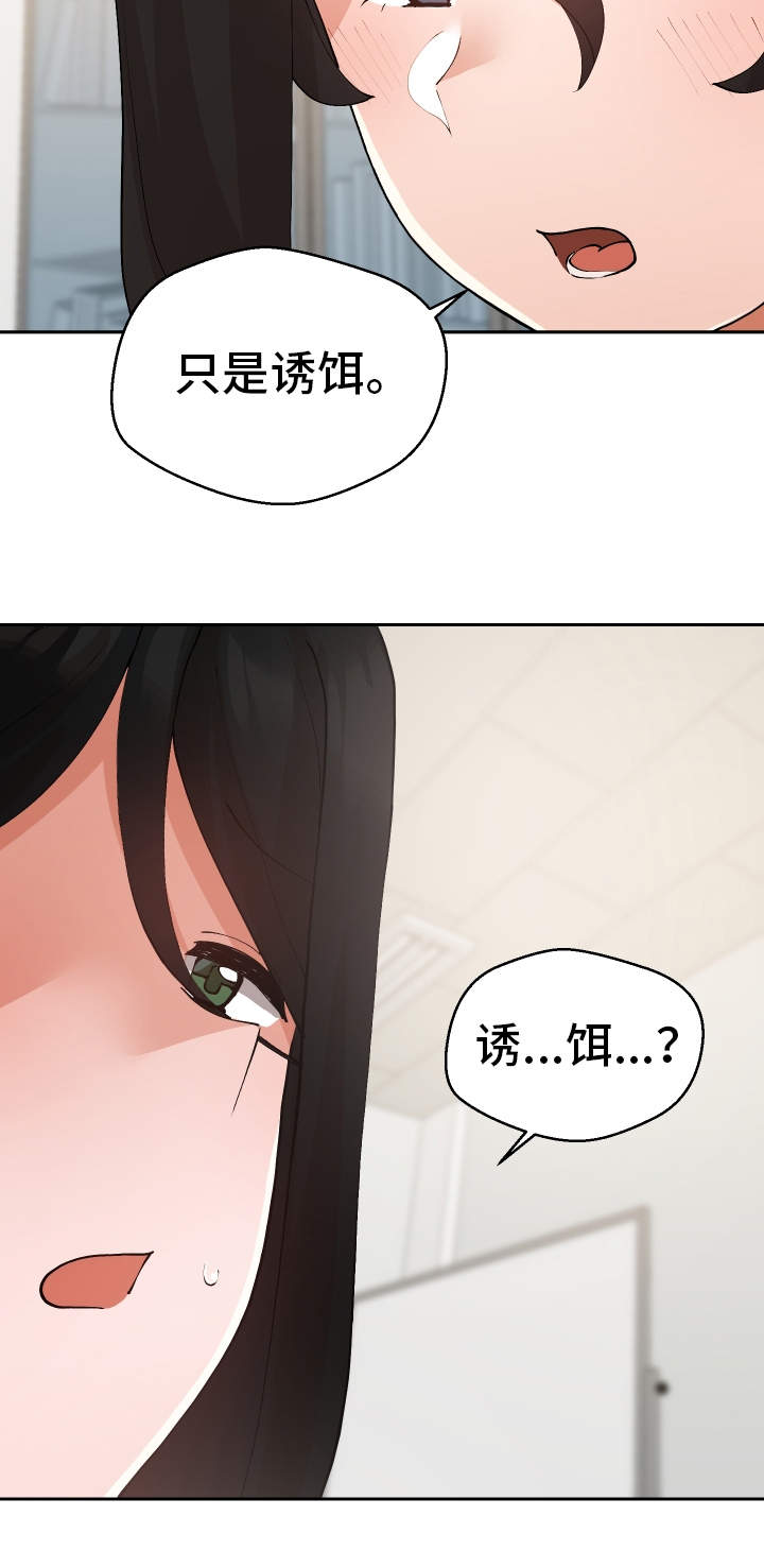 第29章：诱饵5