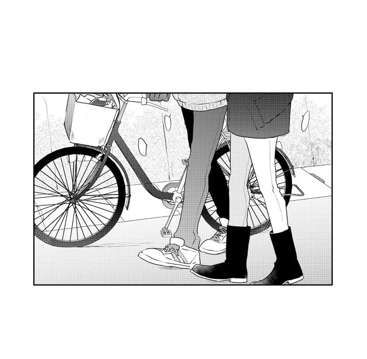 第3章：三花猫14