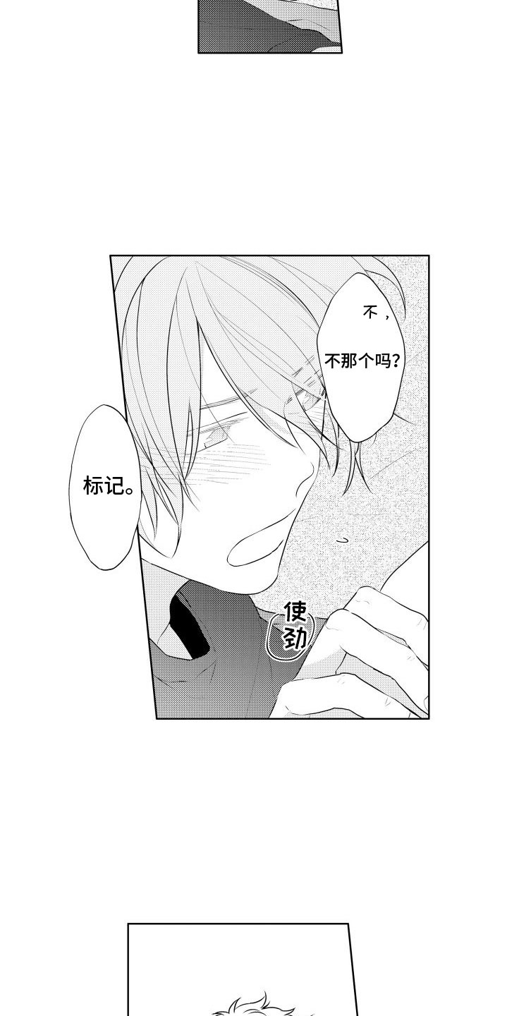 第28章：标记8
