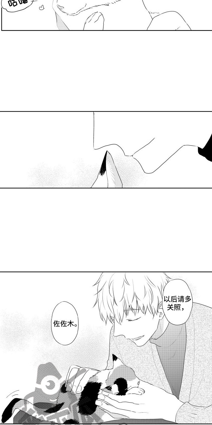第6章：想看狗狗2