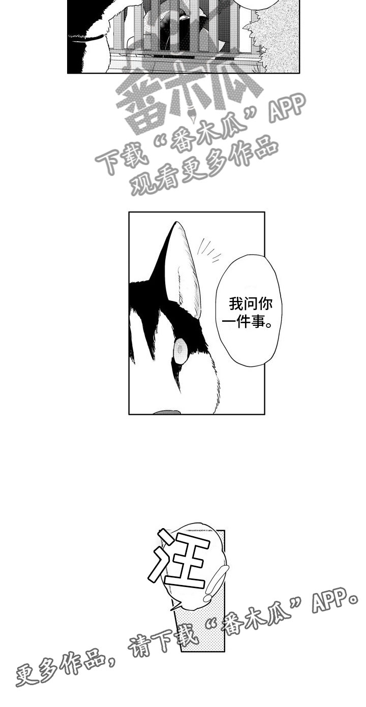 第17章：跑了13