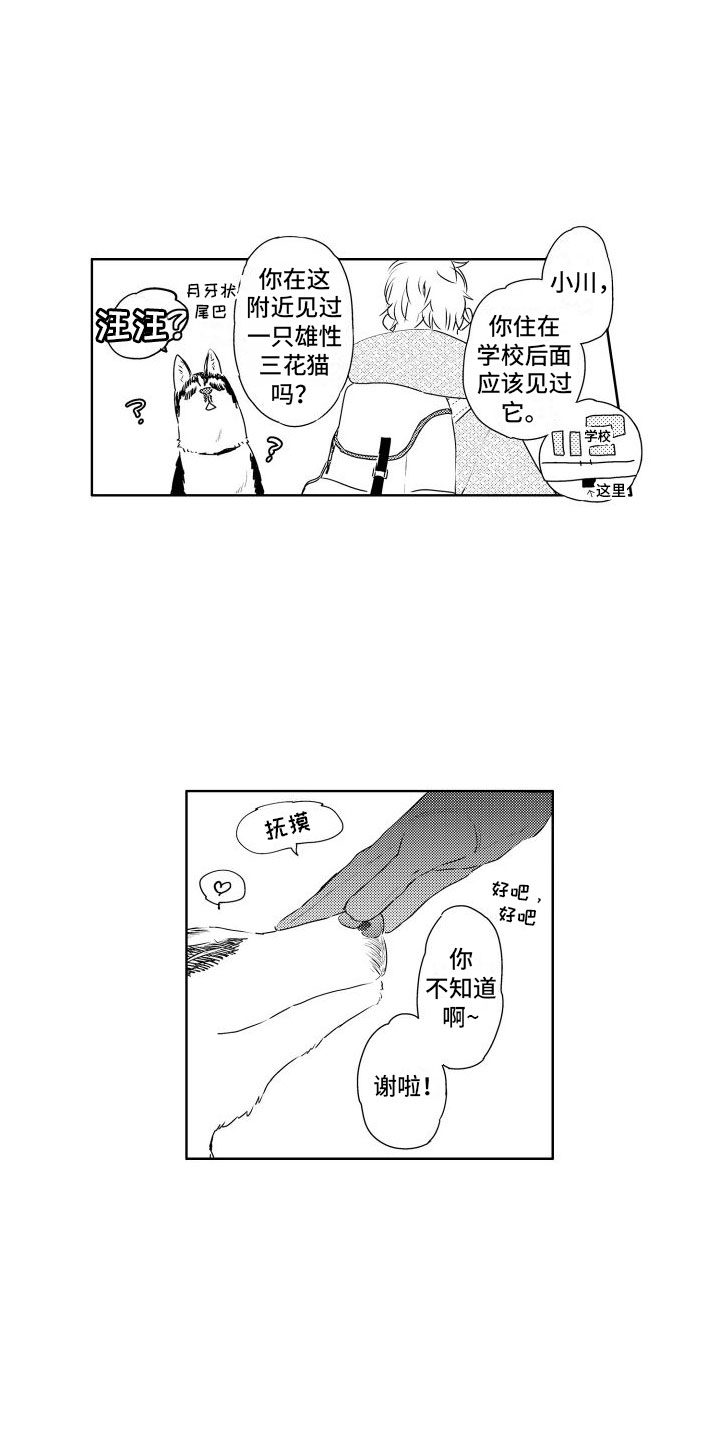 第3章：三花猫9