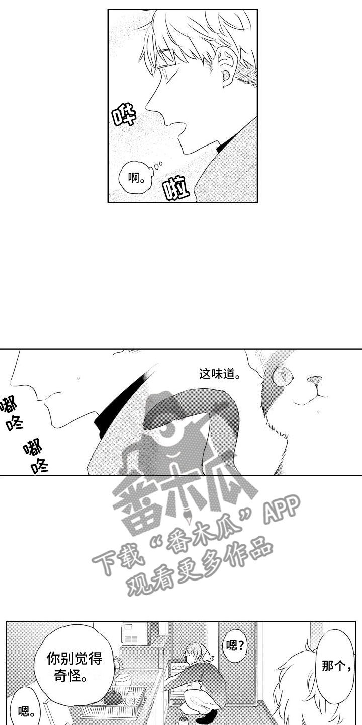 第4章：味道1