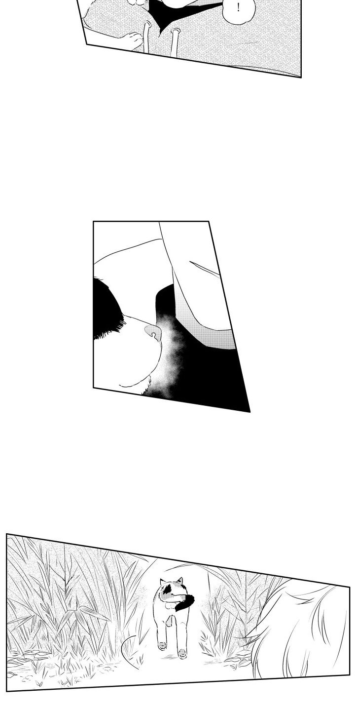 第3章：三花猫5