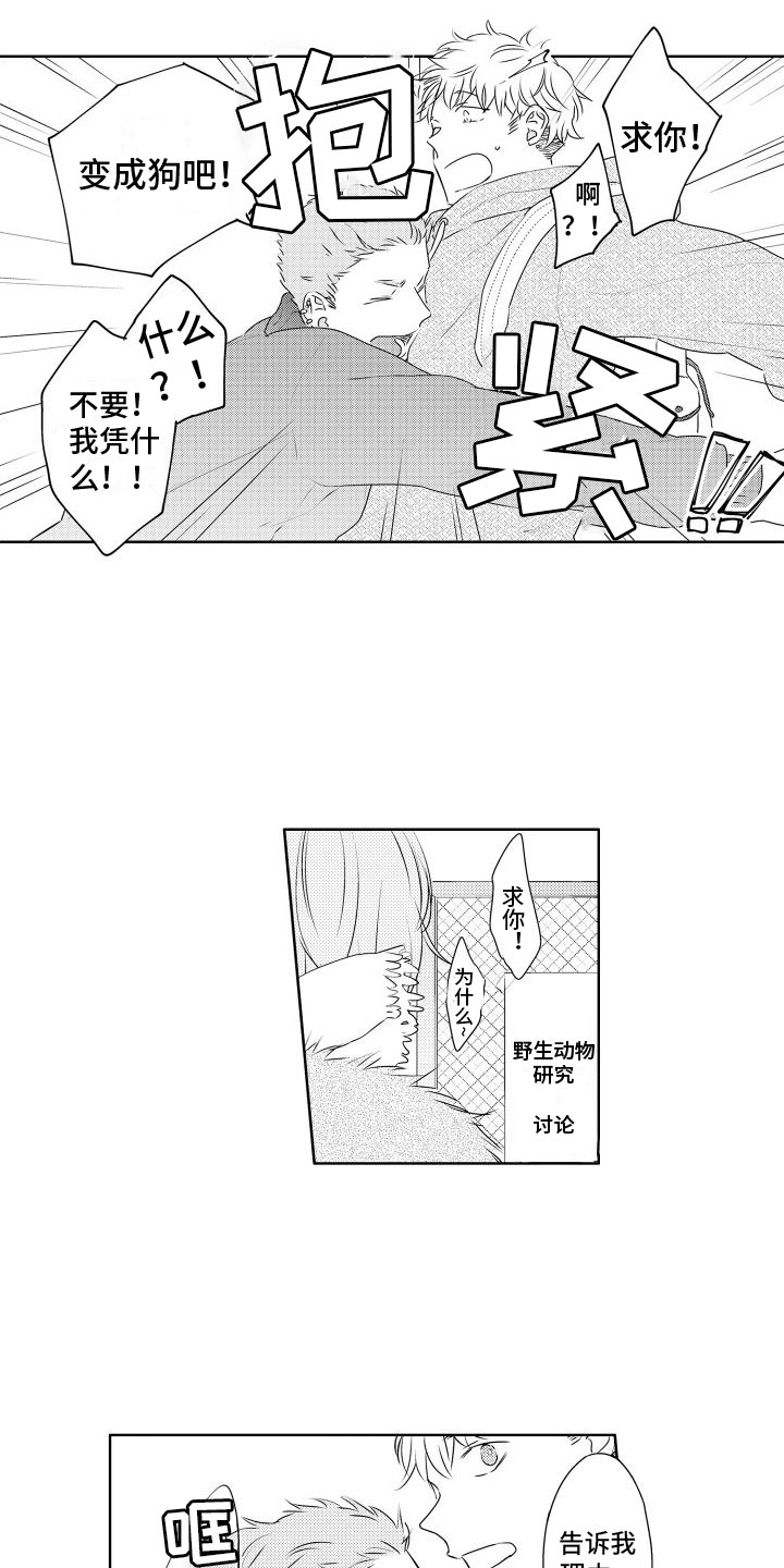 第1章：新来的11