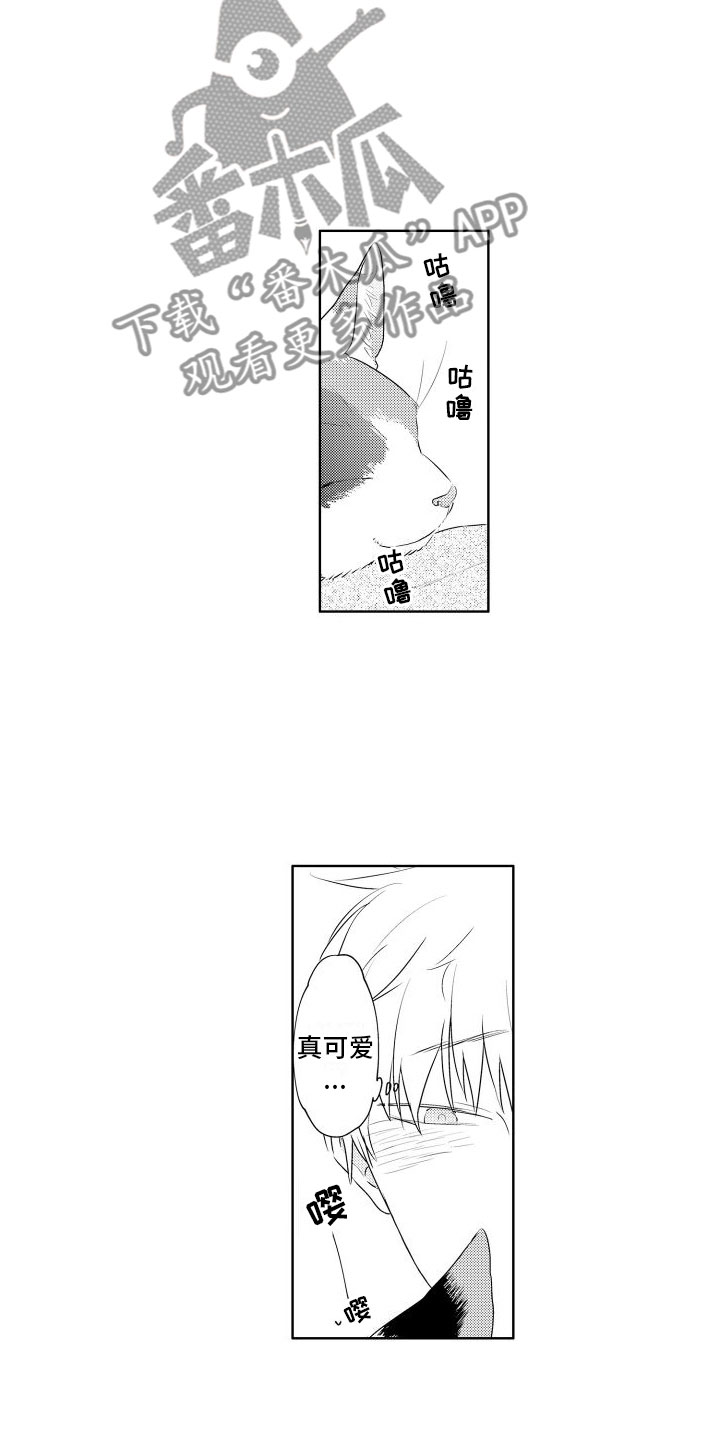 第6章：想看狗狗8