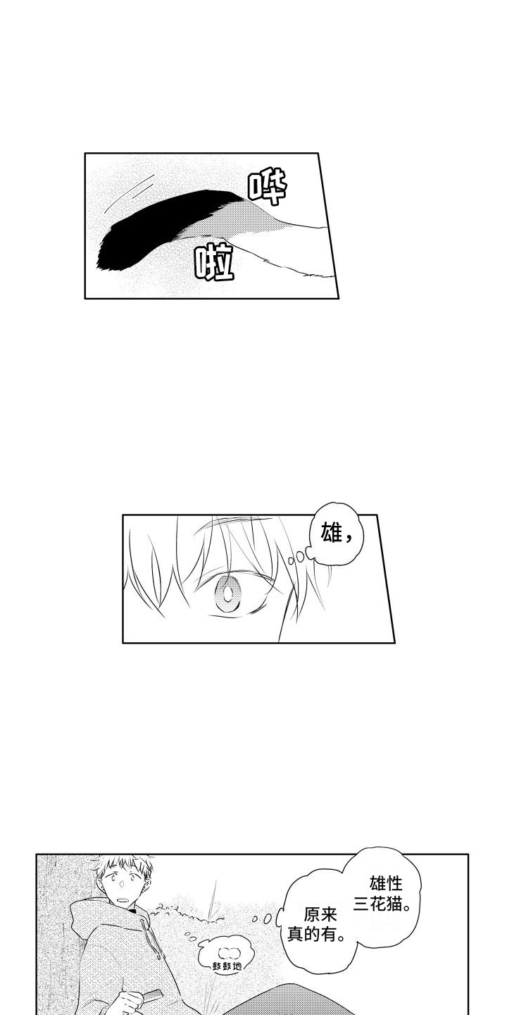 第1章：新来的7