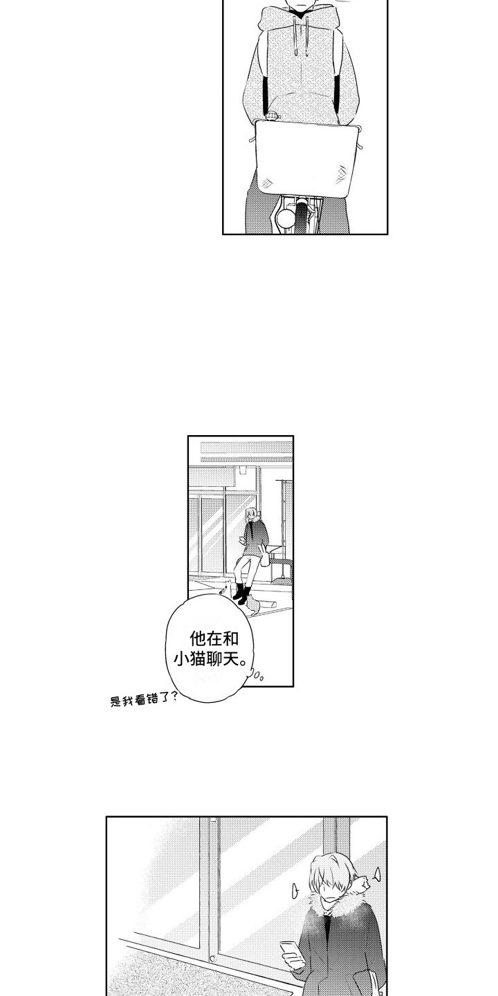 第3章：三花猫11
