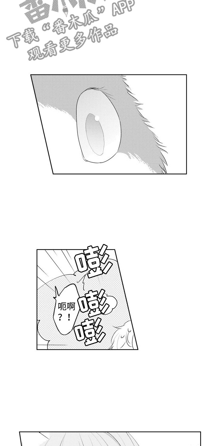 第6章：想看狗狗3