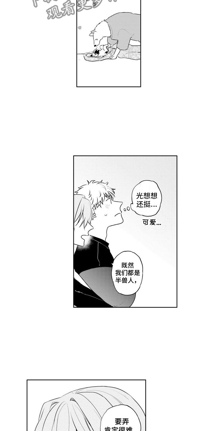 第21章：再来5