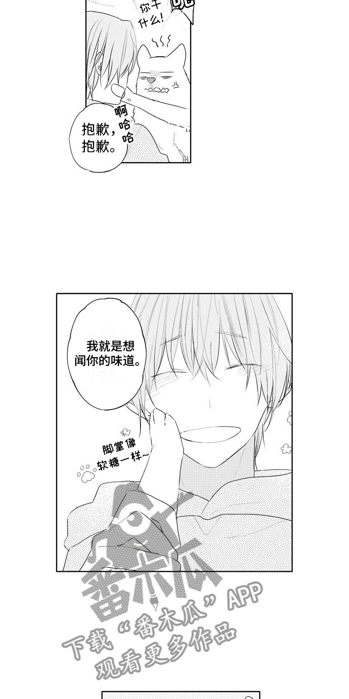 第7章：不好意思8