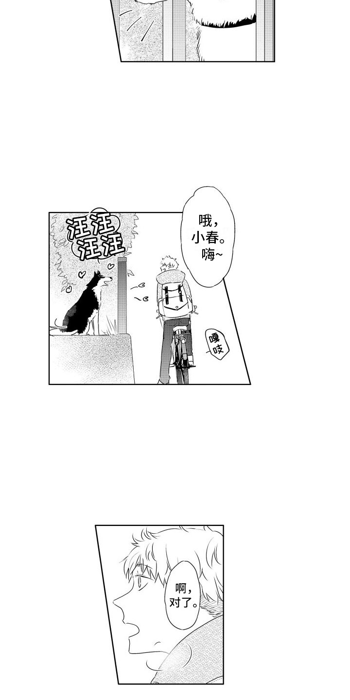 第3章：三花猫8