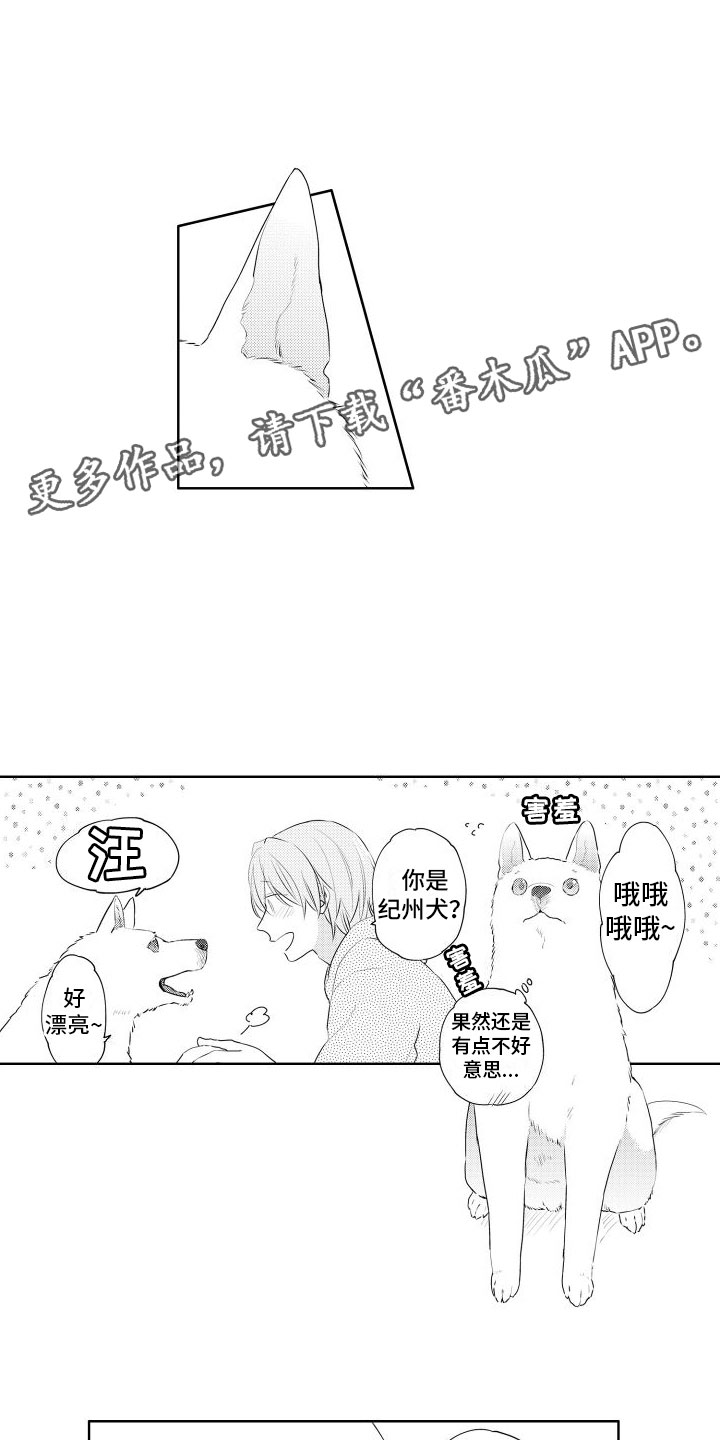 第7章：不好意思0