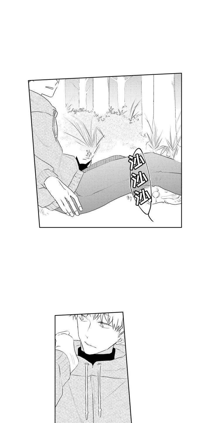 第3章：三花猫6