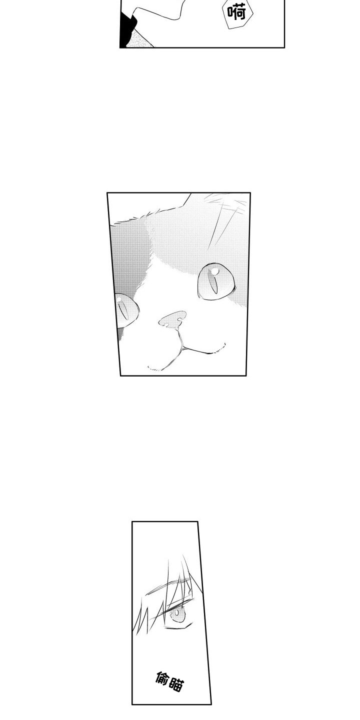 第4章：味道13