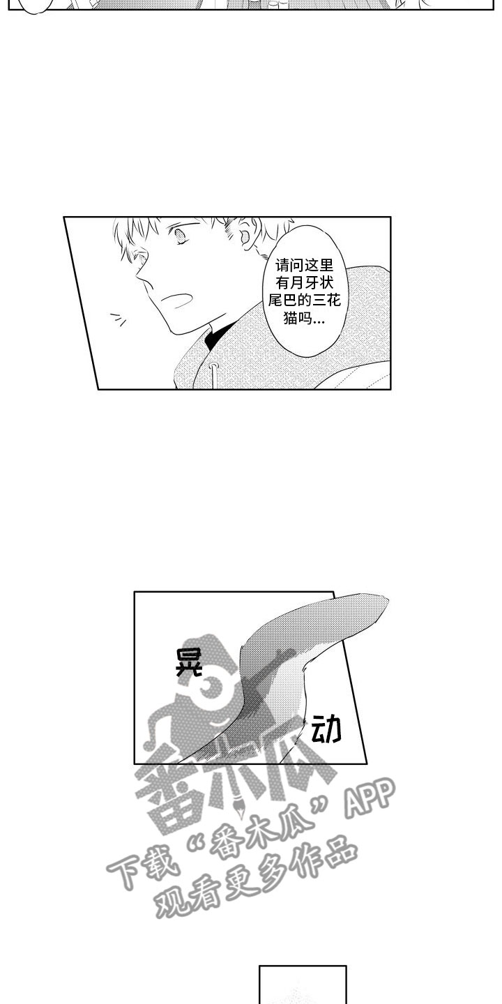第4章：味道2