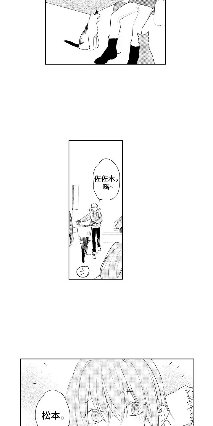 第3章：三花猫12