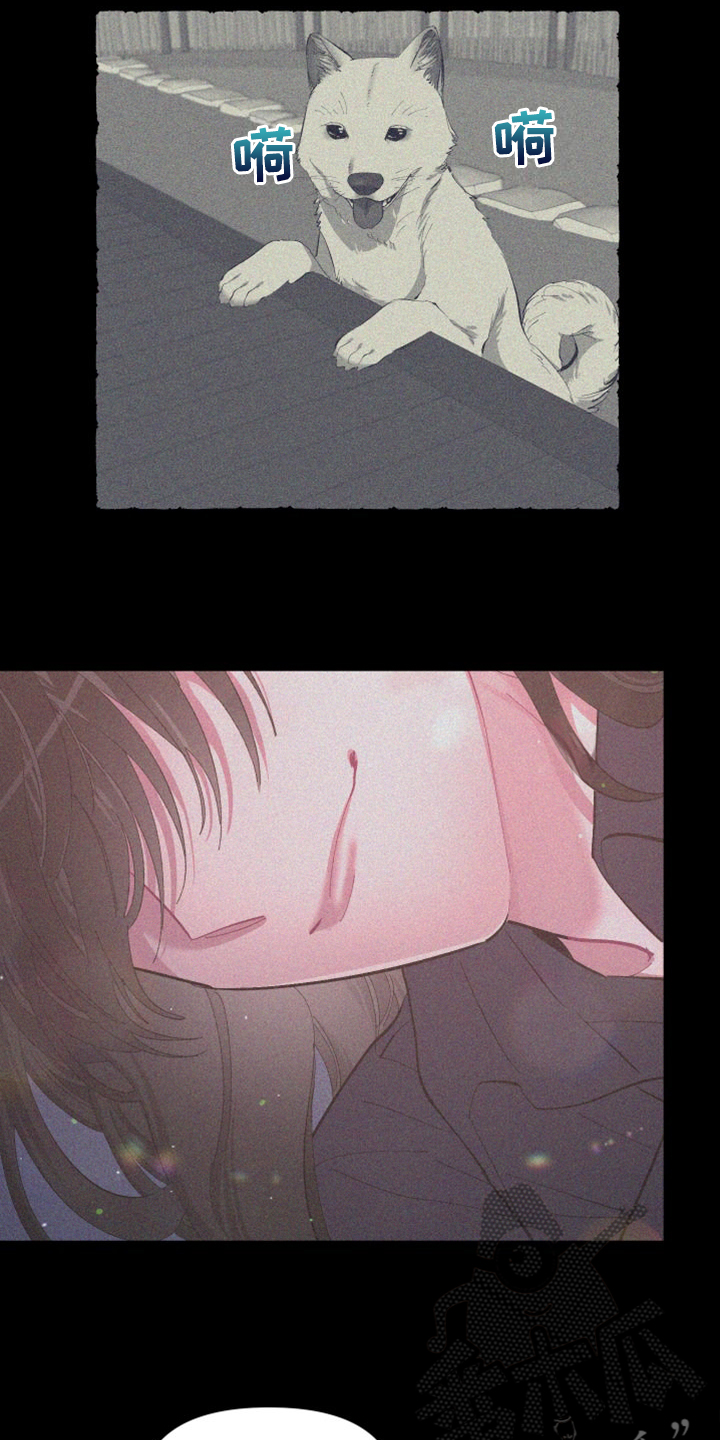 第85章：【第二季】没有这样过10