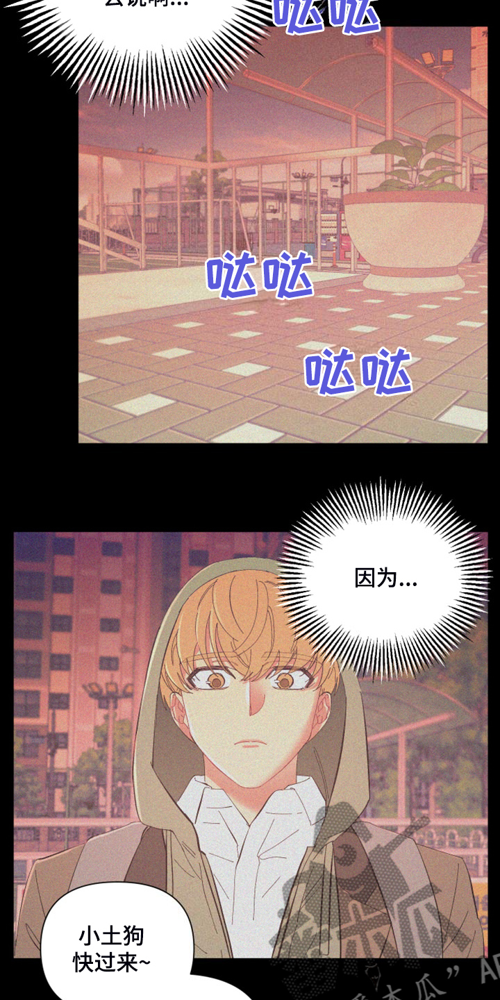 第87章：【第二季】校园传言8