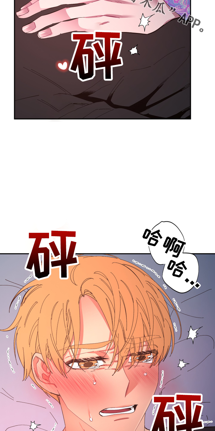 第103章：【第二季】非常喜欢10