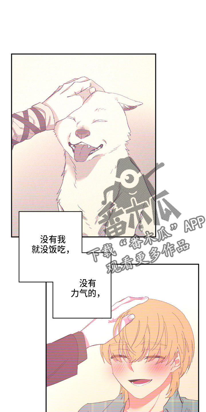 第95章：【第二季】当然不会13