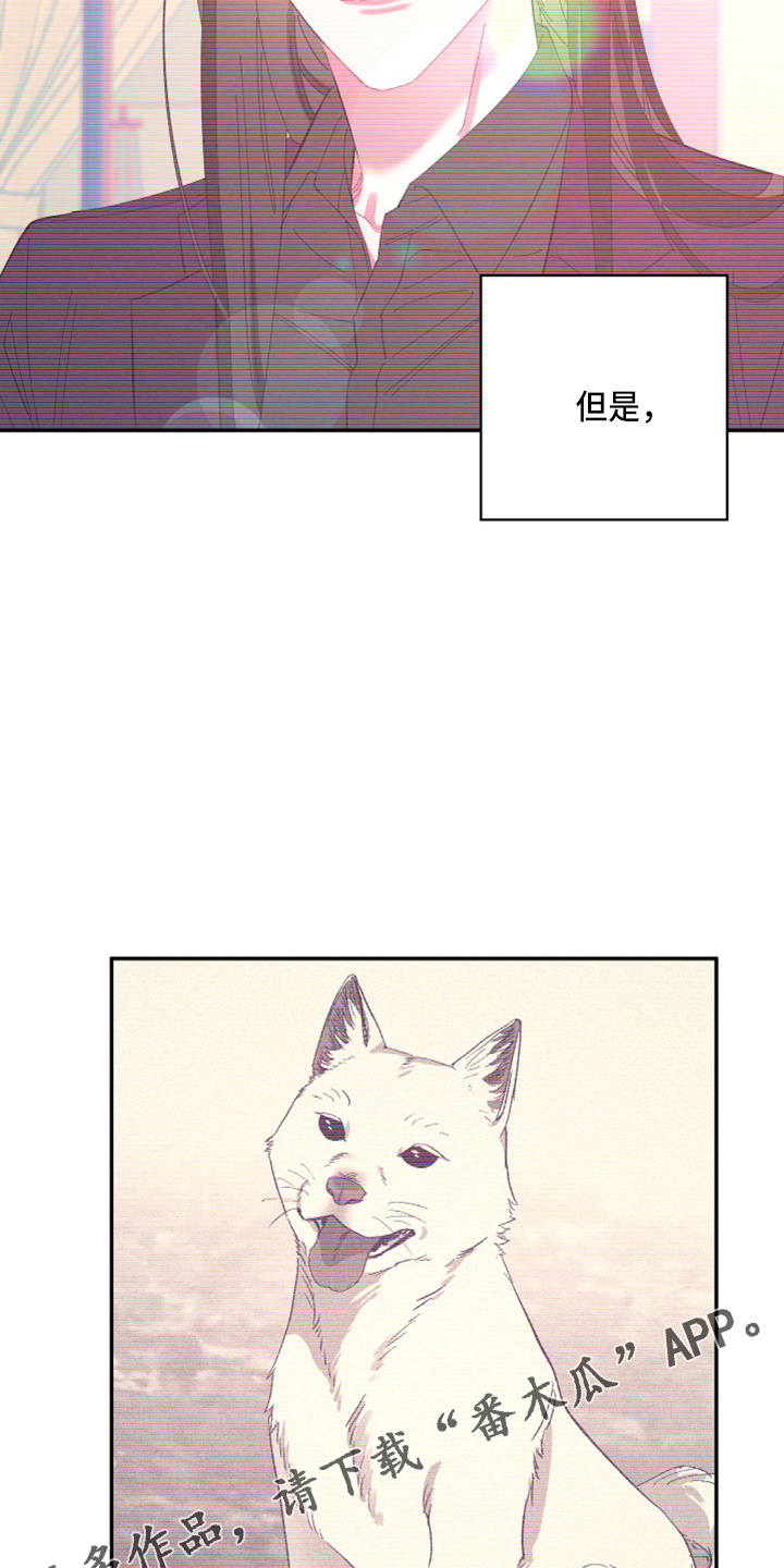 第95章：【第二季】当然不会11