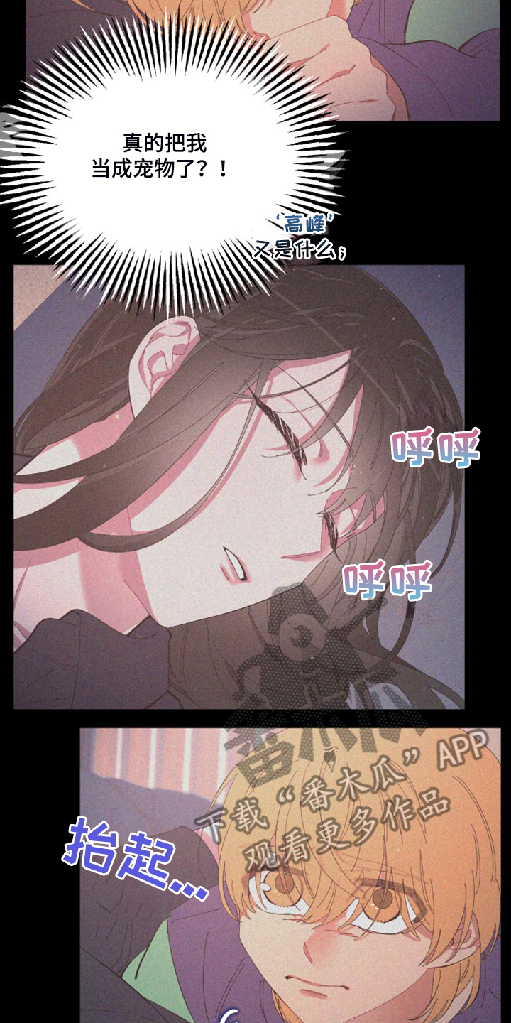 第85章：【第二季】没有这样过15