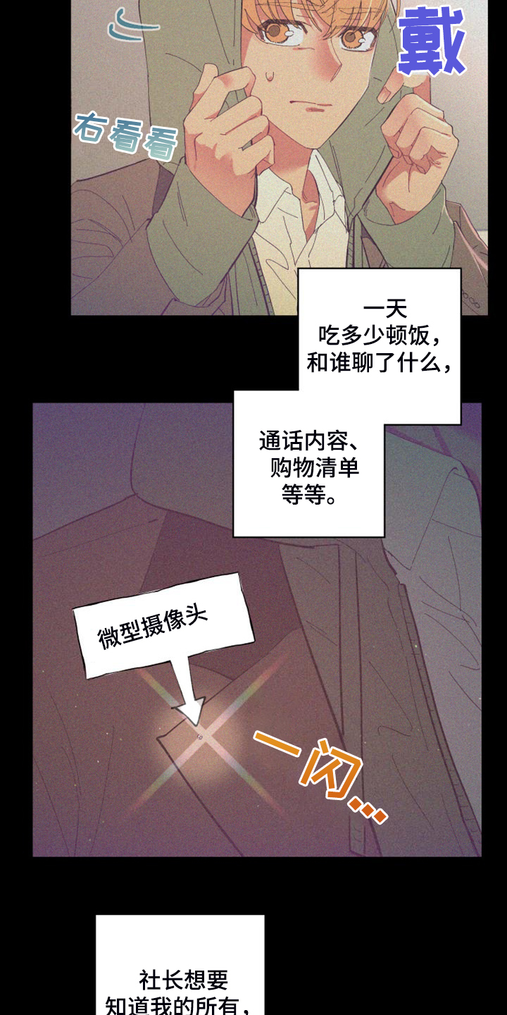 第87章：【第二季】校园传言16