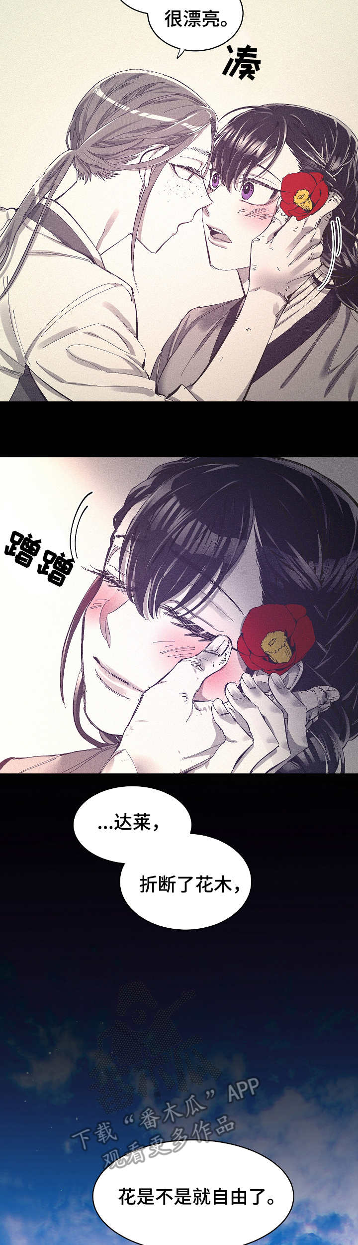 第17章：自由的花6