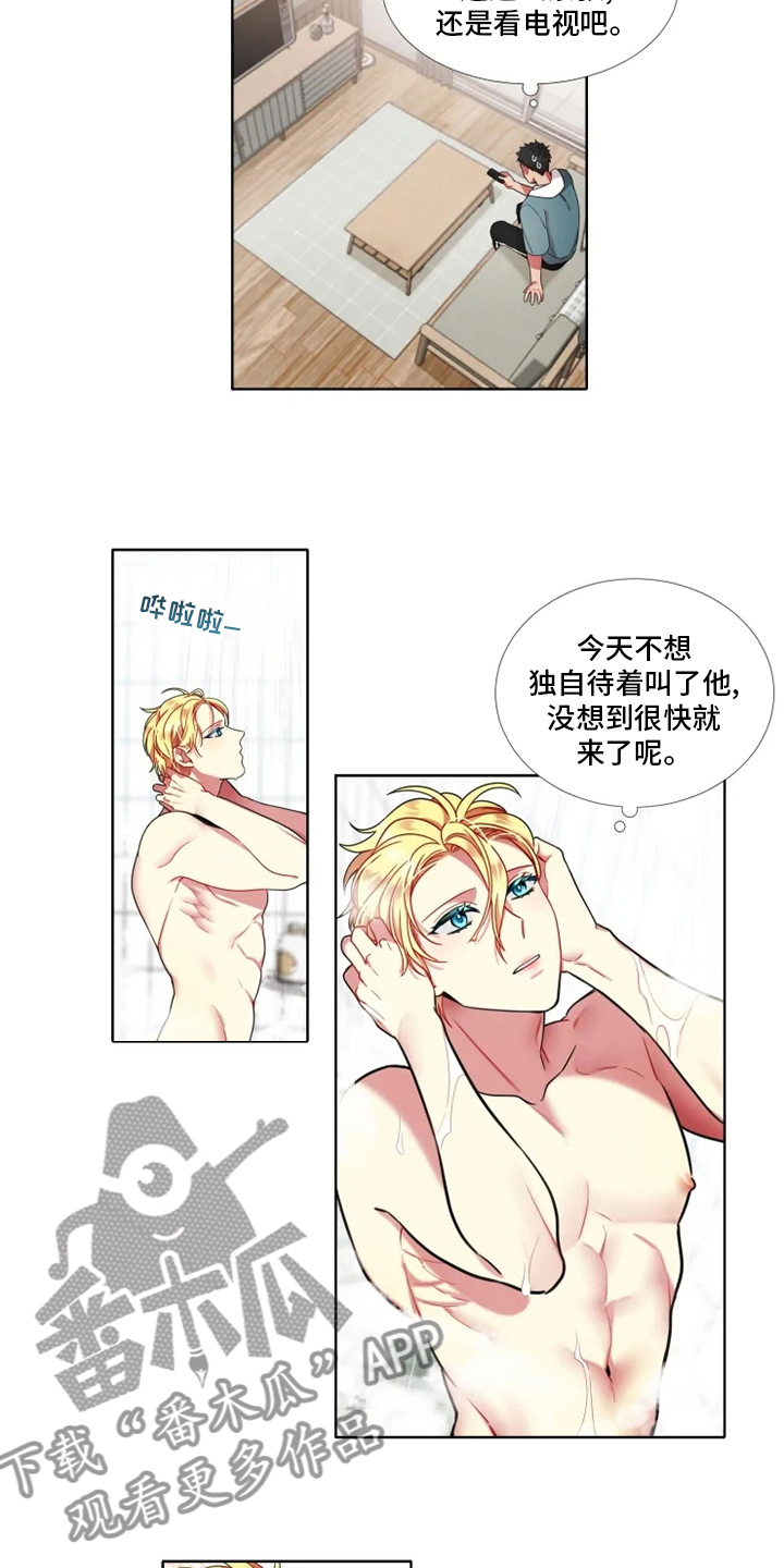 第53章：【第二季】睡着了 1