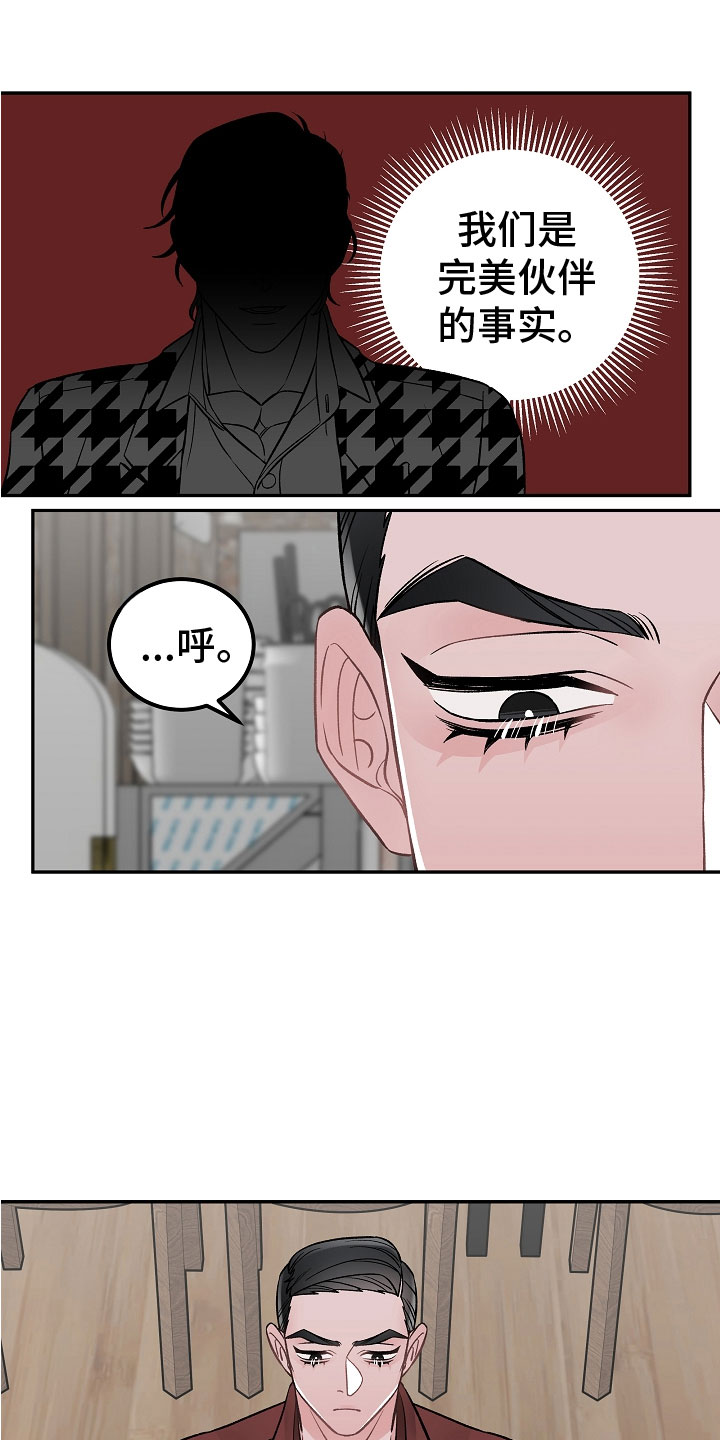 第11章：完美伙伴17