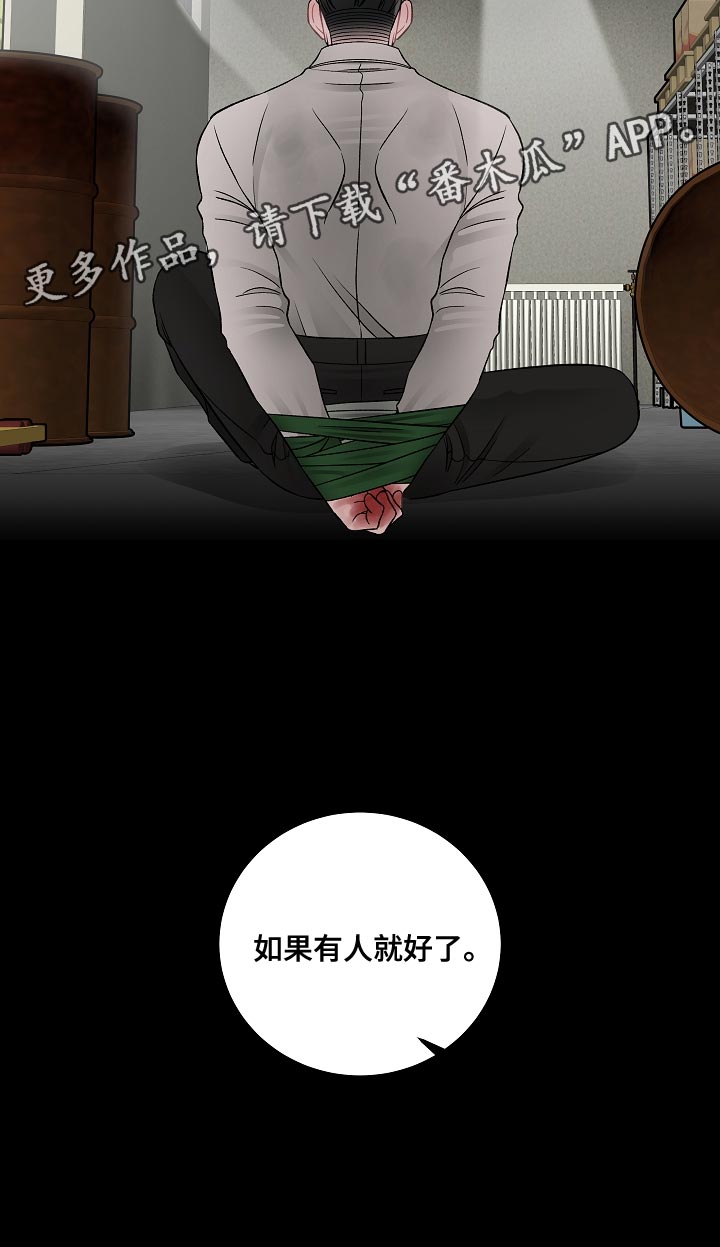 第40章：绑架20
