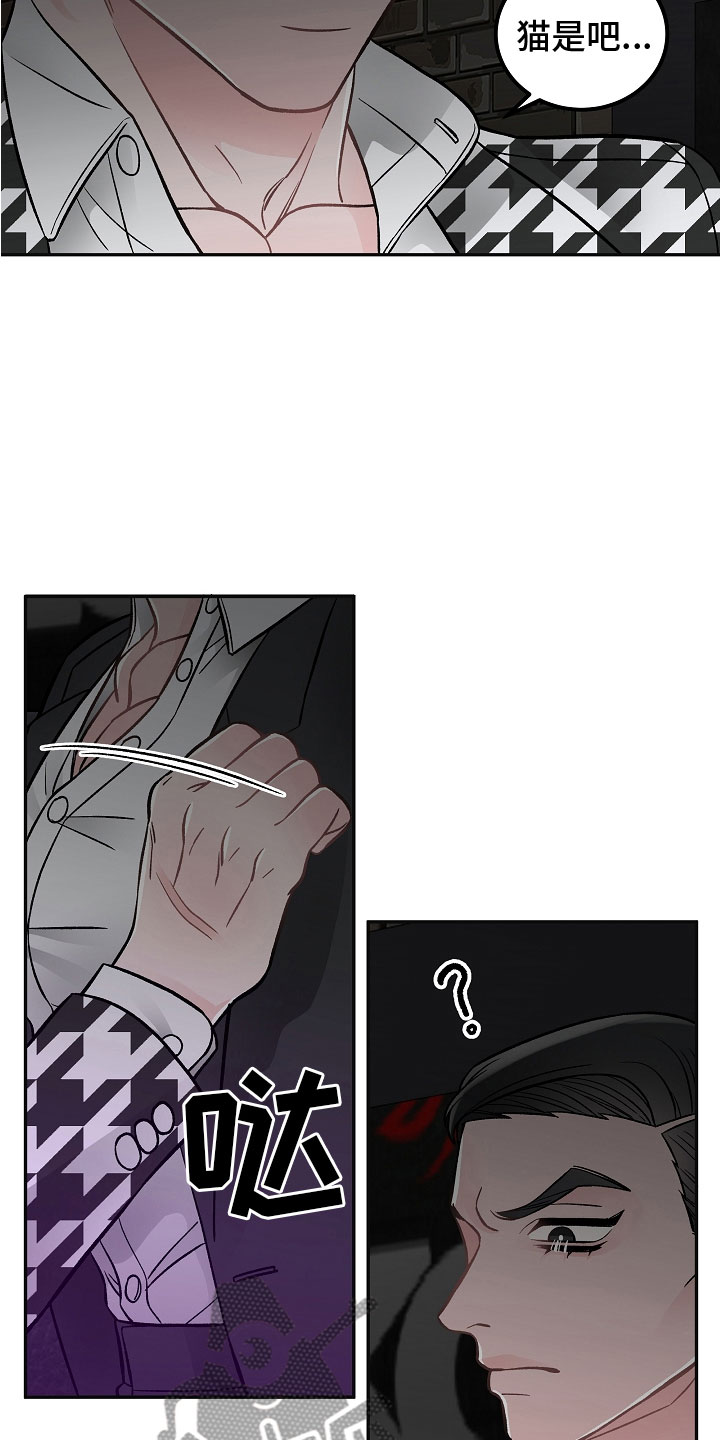 第7章：学猫叫10