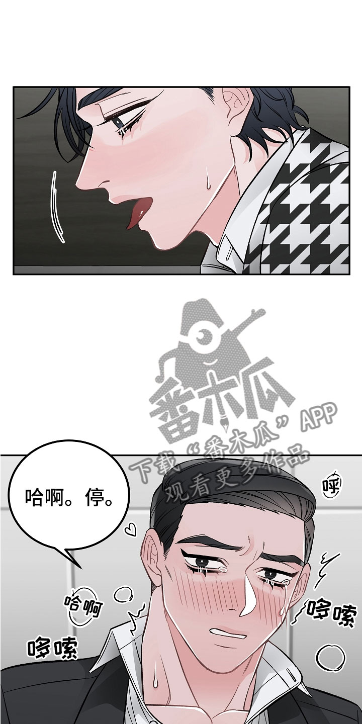 第11章：完美伙伴5
