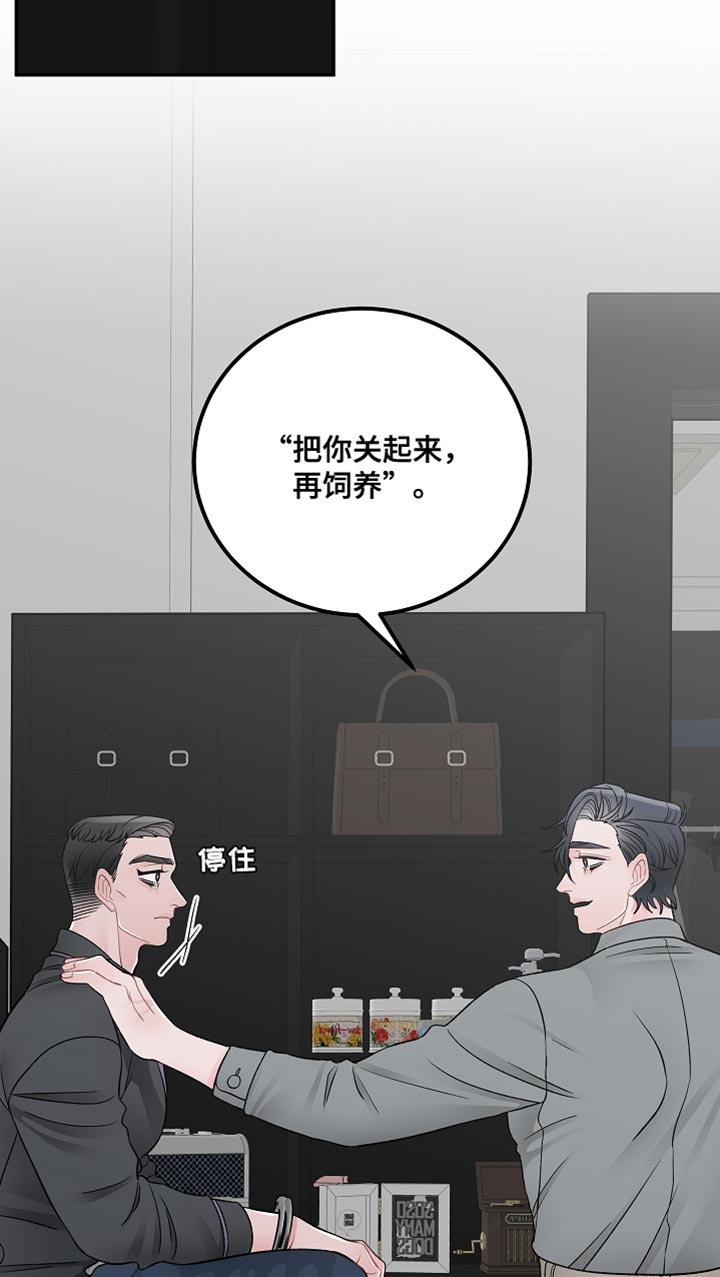 第42章：完美的交易【完结】11